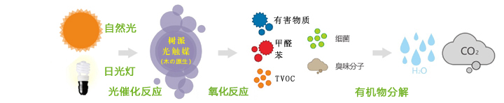 樹派光觸媒氧化分解原理圖